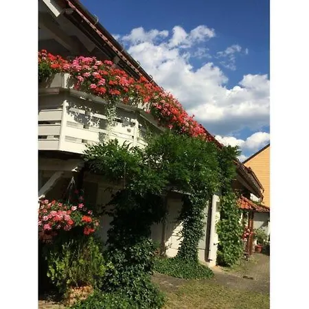 Moller Apartment